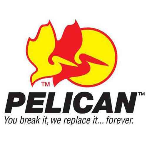 Pelican